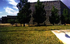 remco.jpg (18225 bytes)